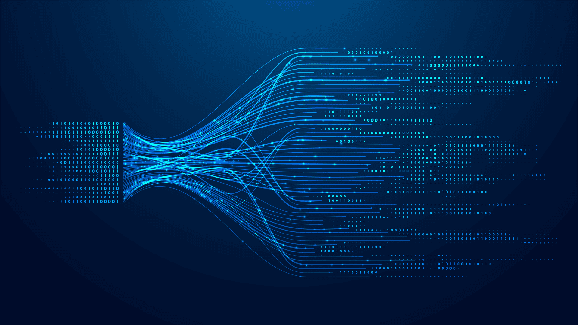 Professional Data Science Services